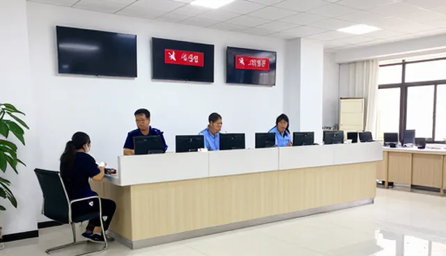 定制化技术方案在性能与适用条件中的实际应用分析