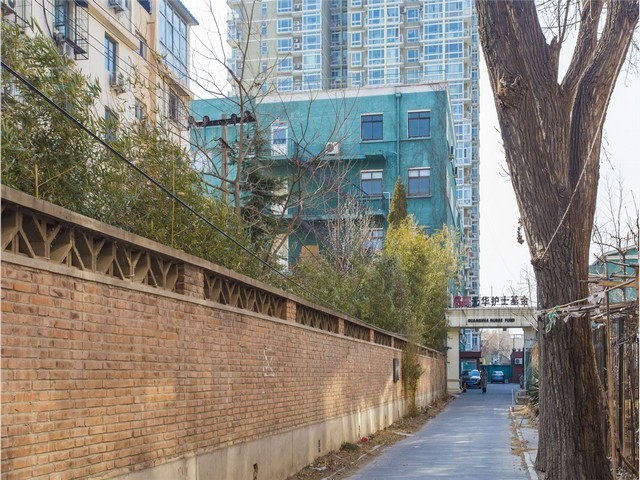 宿迁牛肉圆供应商